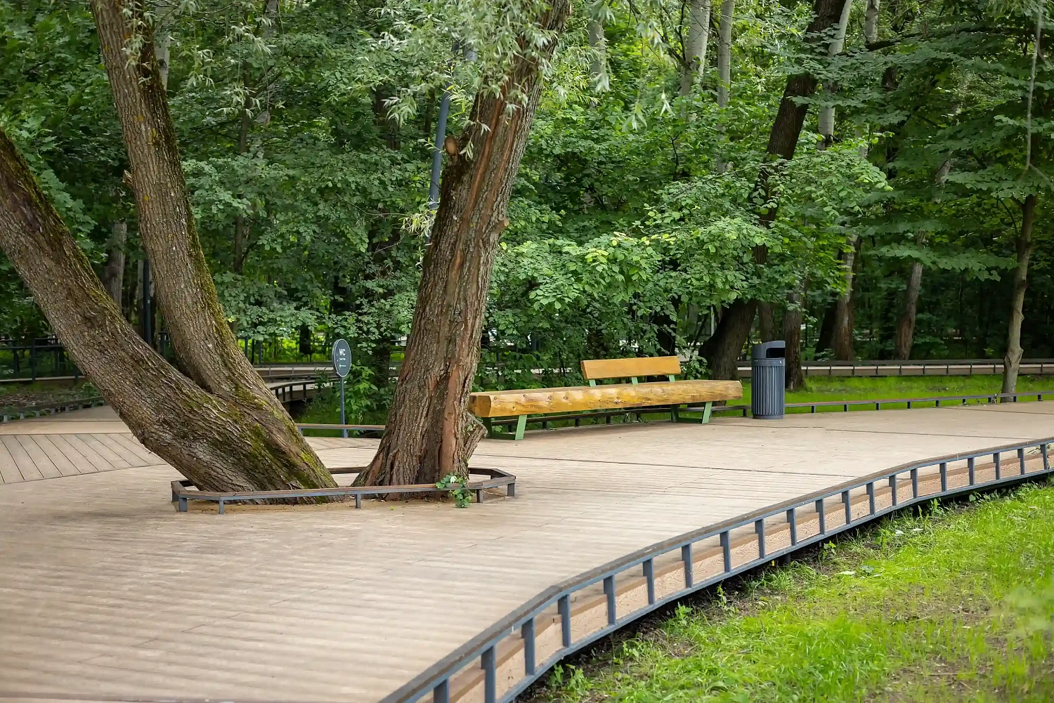 Сокольники, Москва (2025-2026 год)