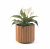 Кашпо Стенд/Stand Кашпо Стенд/Stand